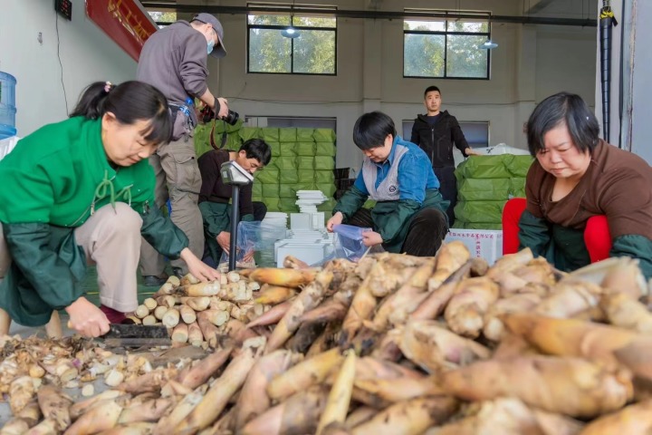 1689315507863244.jpg 1689227940465_64af92a432e8f5000153cca0.jpg