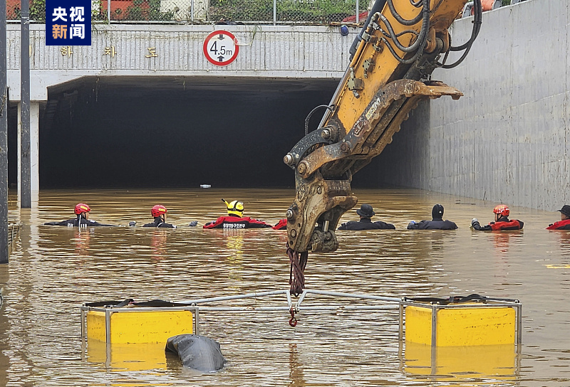 1689582604445022.jpg 216c85ceda1c4c56a83c0cac5b0a2743.jpg