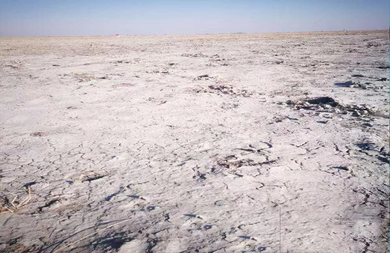 1689595498458522.jpg 科右中旗土地沙化区域严酷的生态环境。(来源 :科右中旗委宣传部).jpg