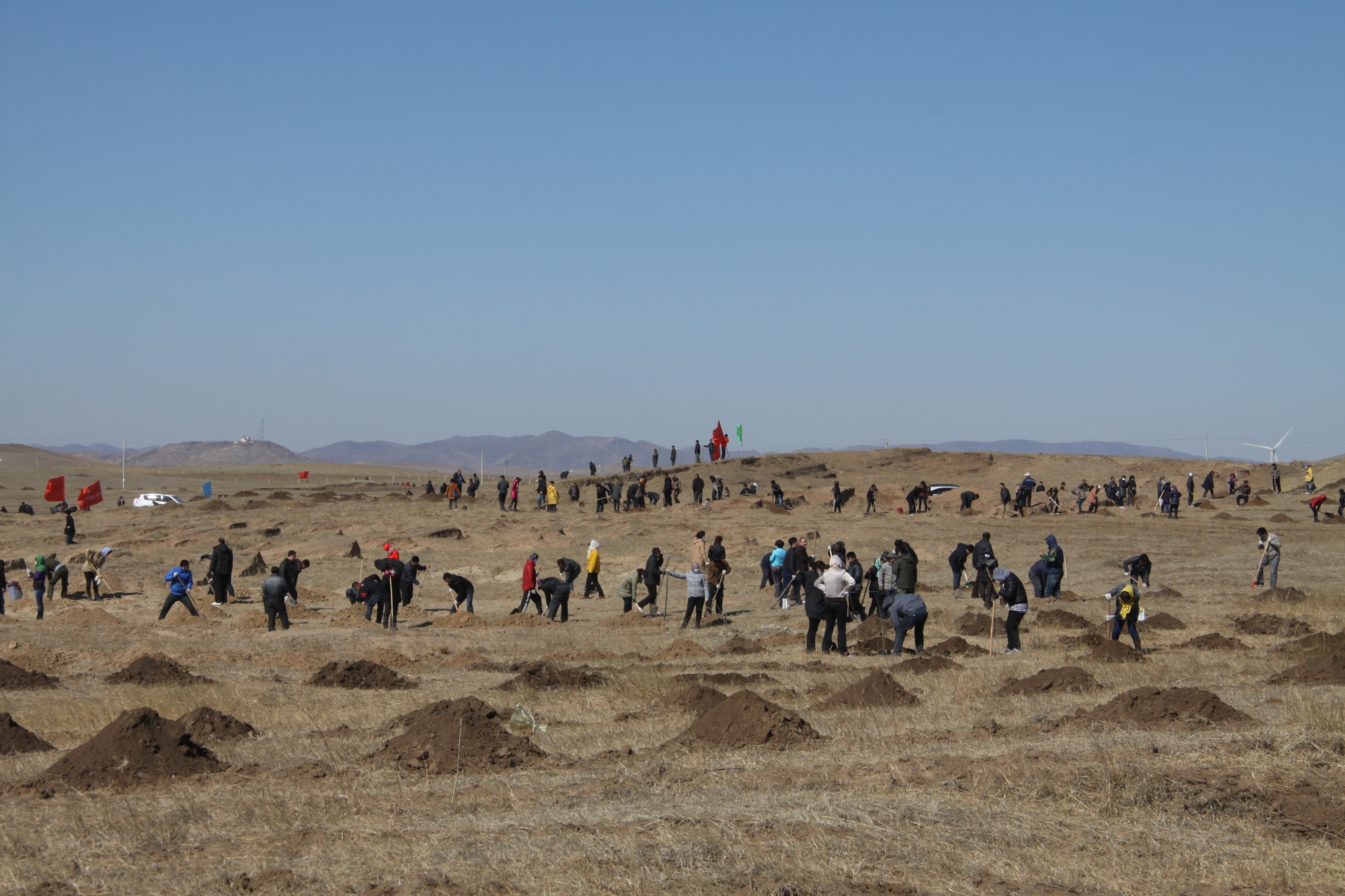 植树“大会战”。（来源：科右中旗委宣传部）.jpg