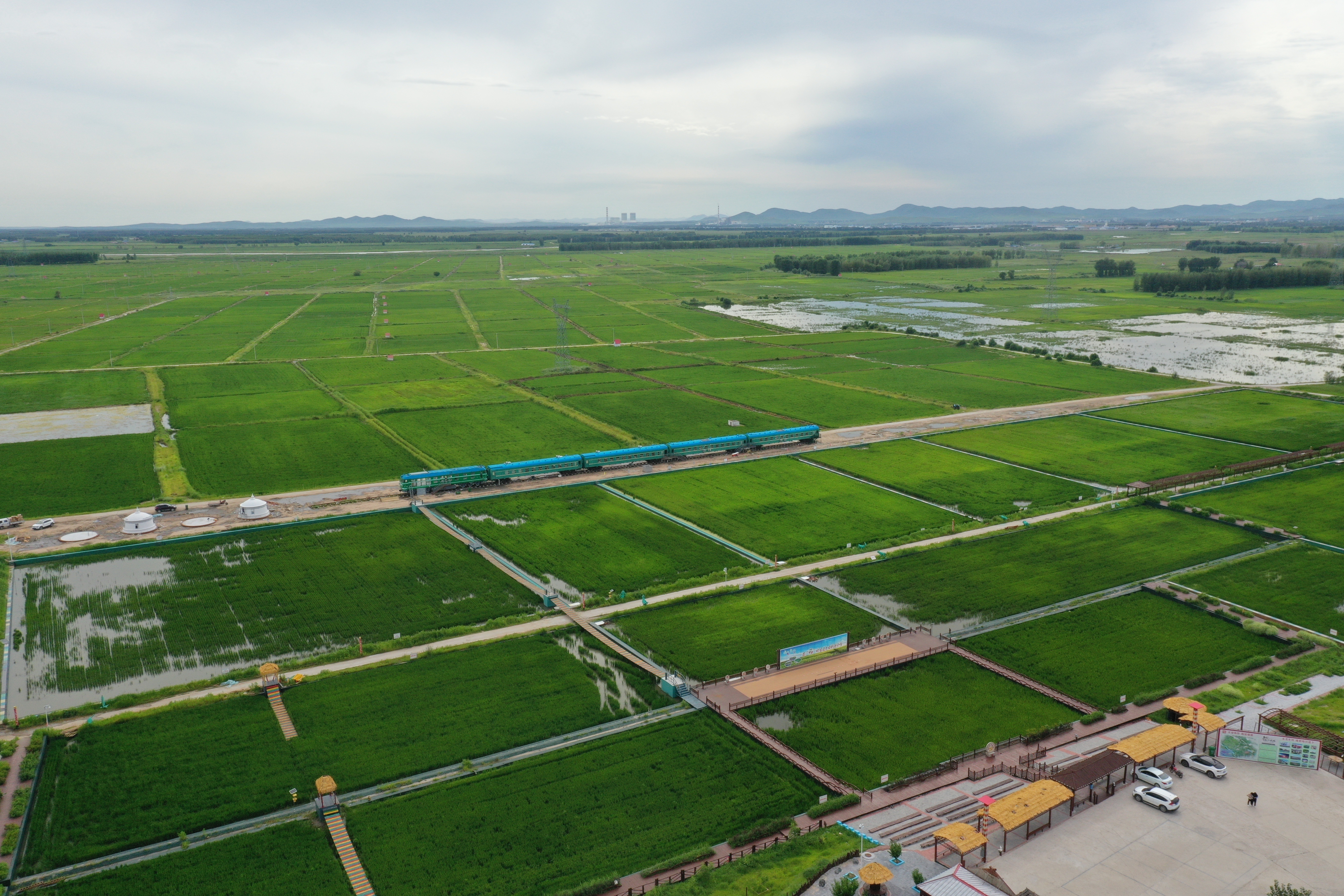 1689596146883122.jpg 哈日道卜嘎查稻田。摄影 李枭宇.jpg