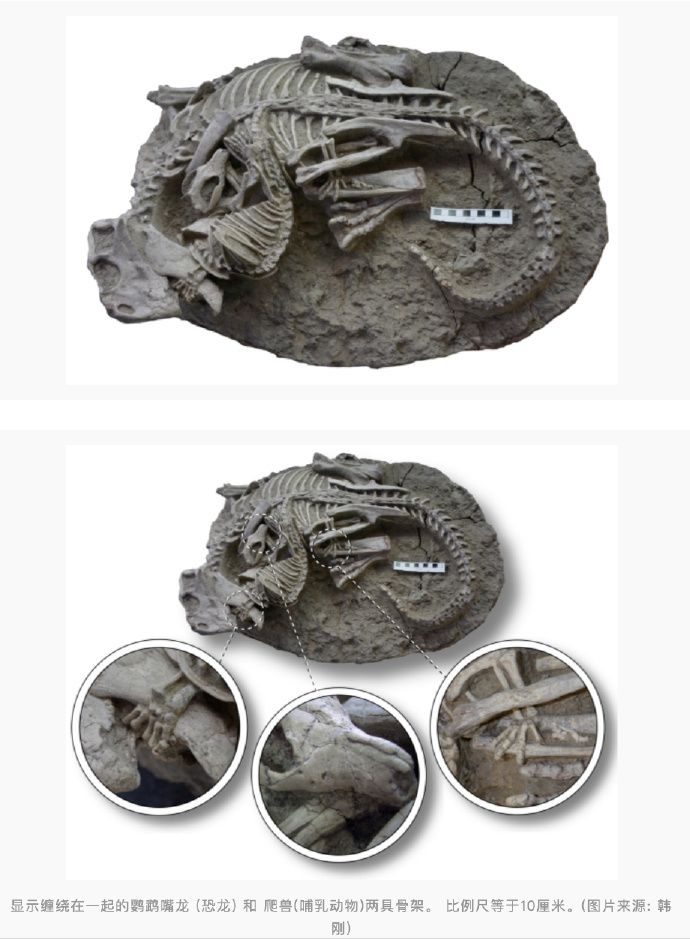 1689732071976042.jpg 1689732066884.jpg