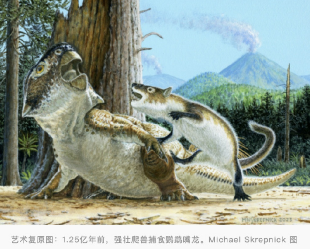 1689732049573309.png image.png