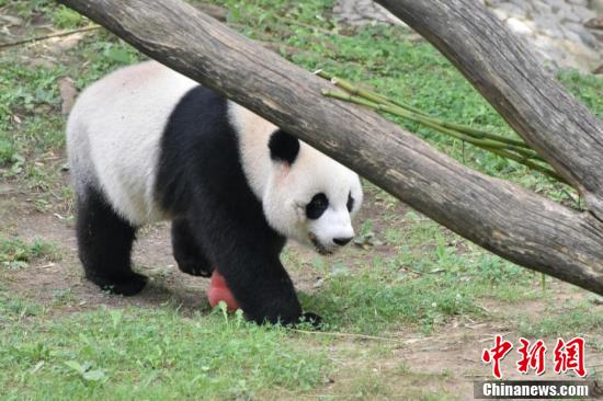 微信图片_20230723152615.jpg