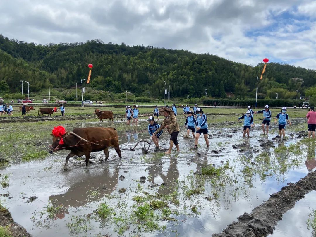 连城春耕节，图源：连城融媒.jpg