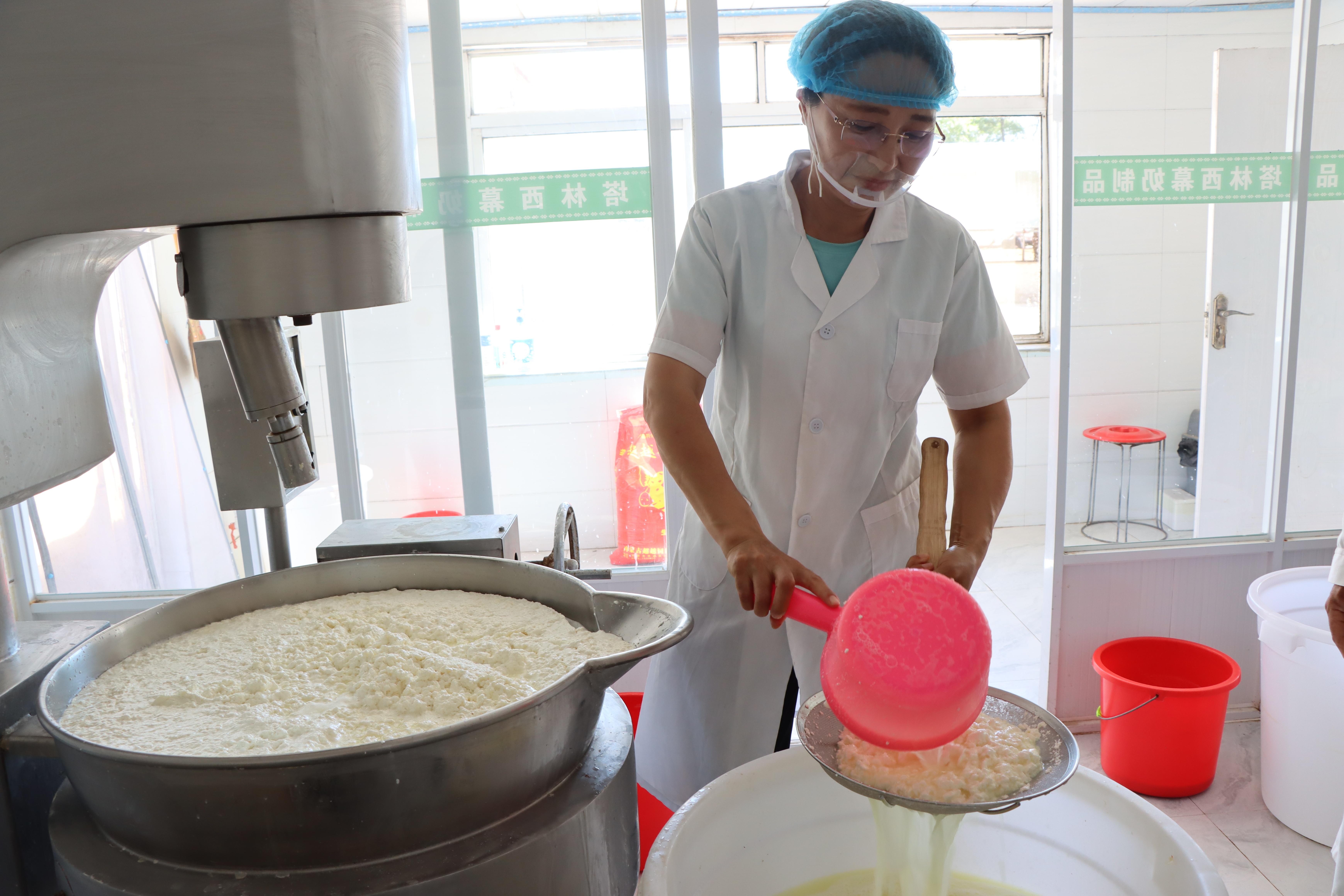 高桂花正在制作奶豆腐（包哈斯塔娜摄）.JPG