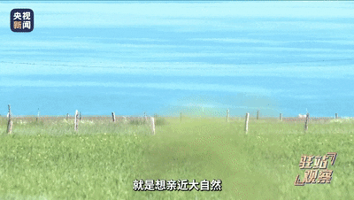 1691884340116488.gif 03.gif