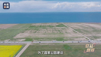 1691884419231188.gif 05.gif