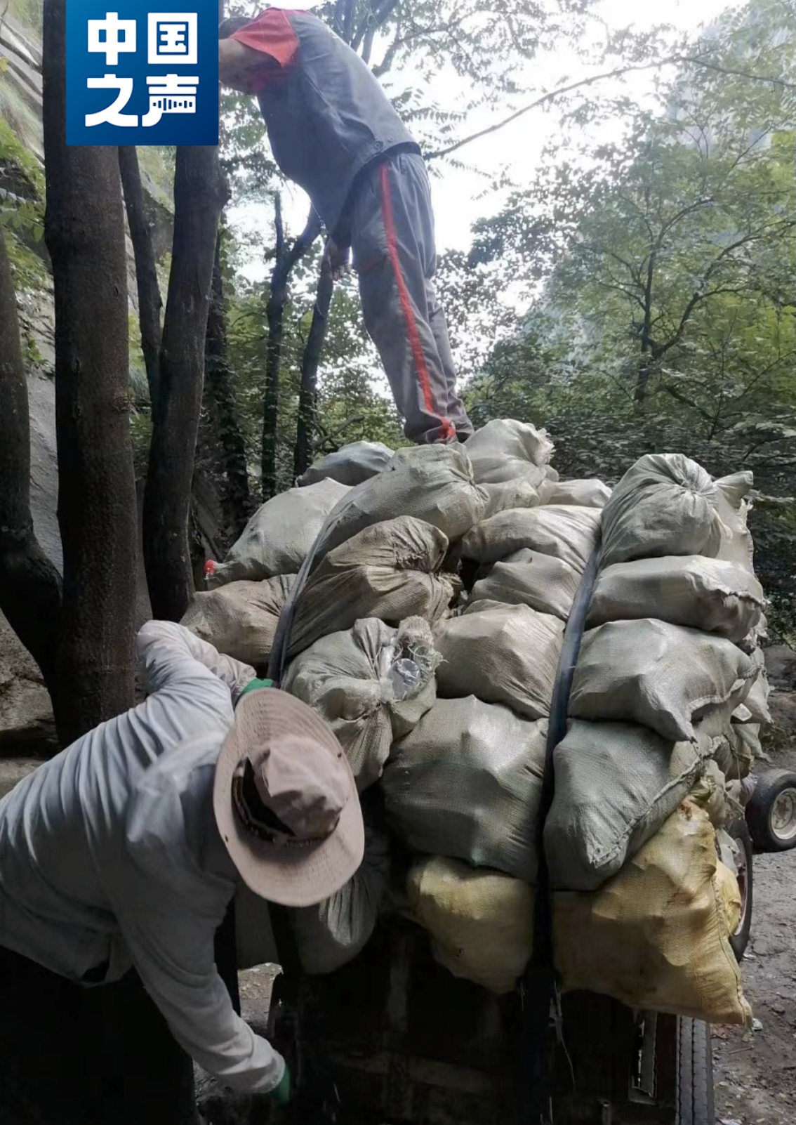 1692533821321133.png image.png