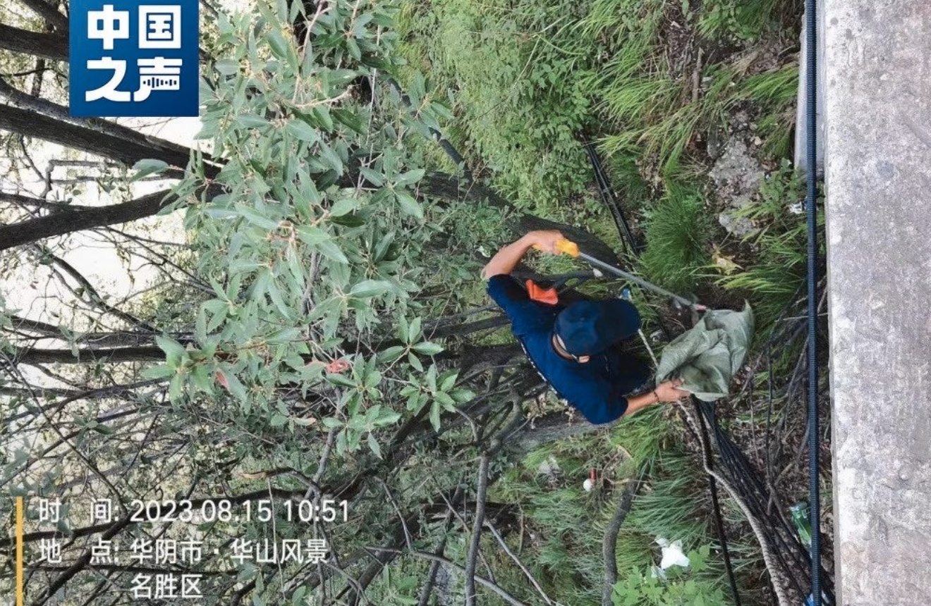 1692533785729720.png image.png