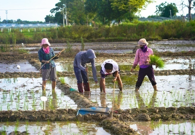 image.png?x-oss-process=style/w10