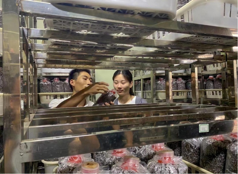 image.png?x-oss-process=style/w10