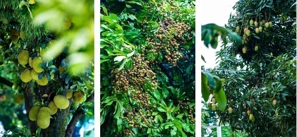 1693382788786963.png 微信图片_20230830152547.png