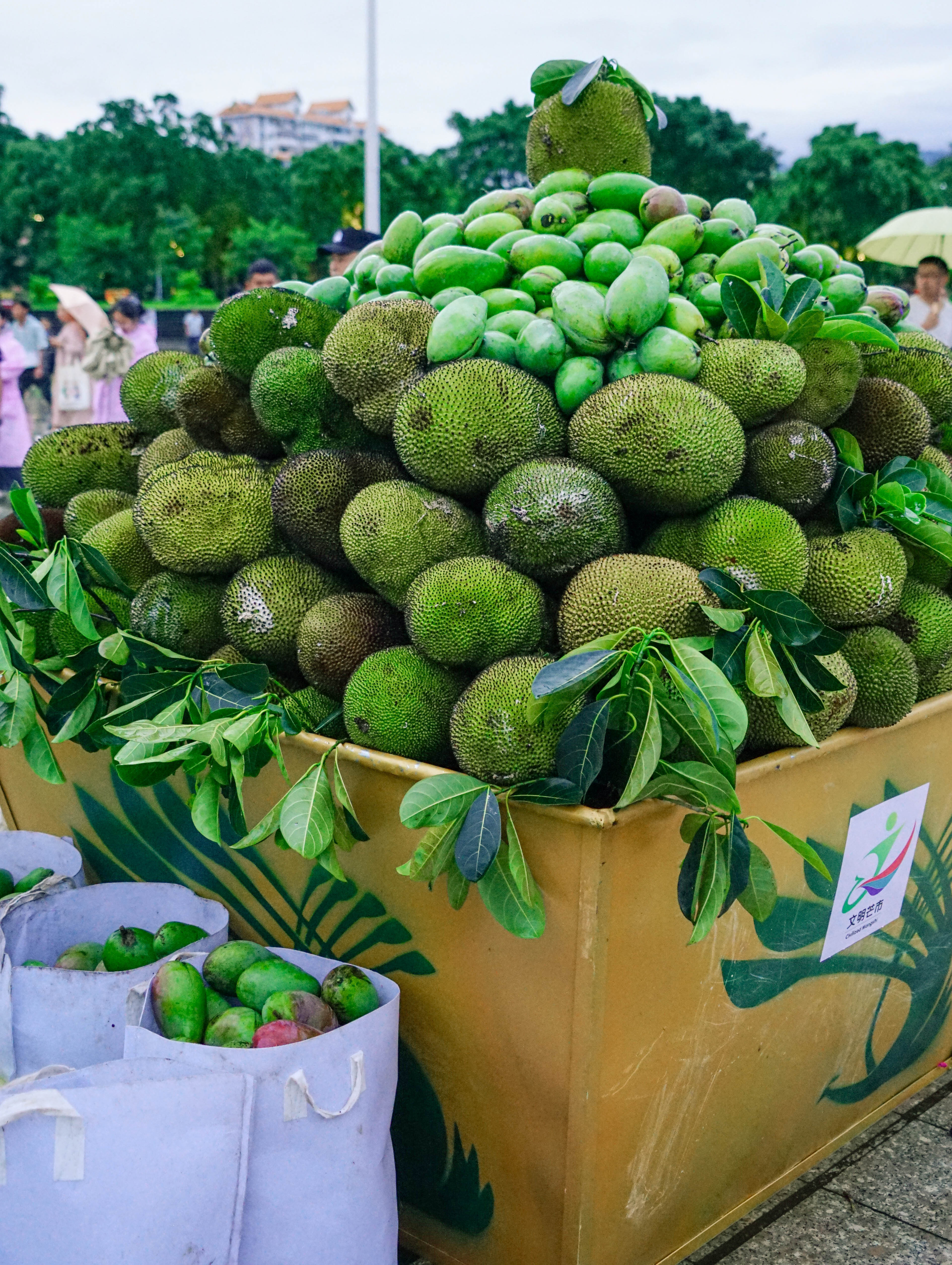 1693383843866821.jpg 图2.jpg