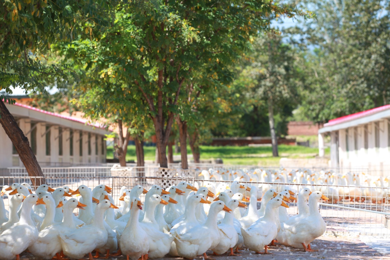 1693795648658345.png 图片1.png