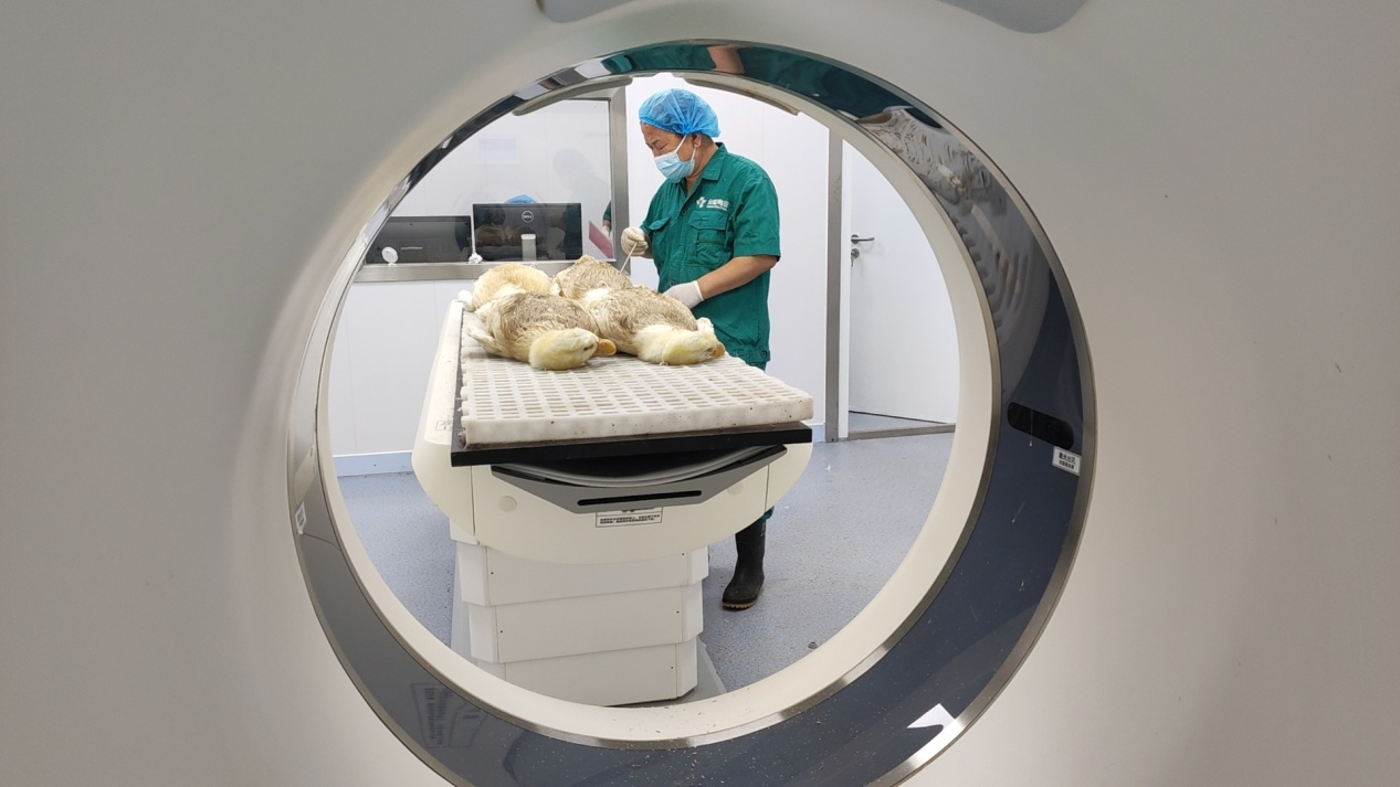 1693795899462841.png 图片5.png