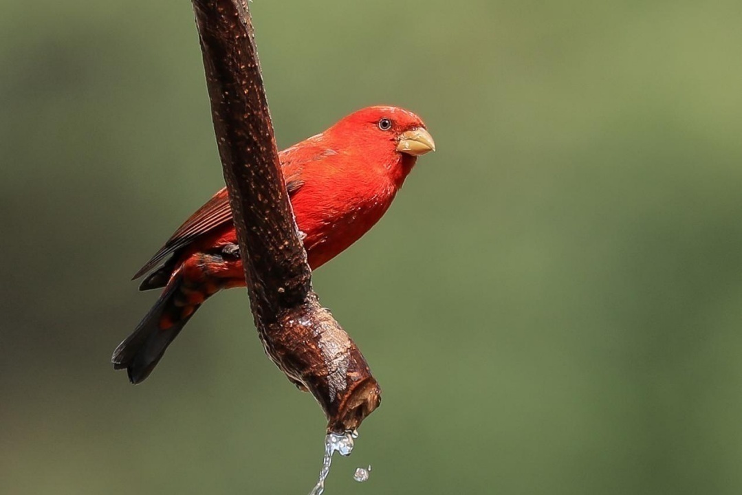 1694674922625797.png image.png