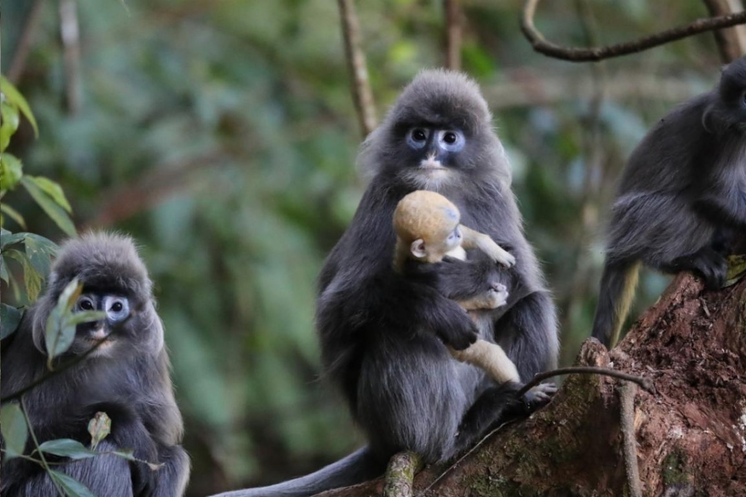 1694674955364171.png image.png