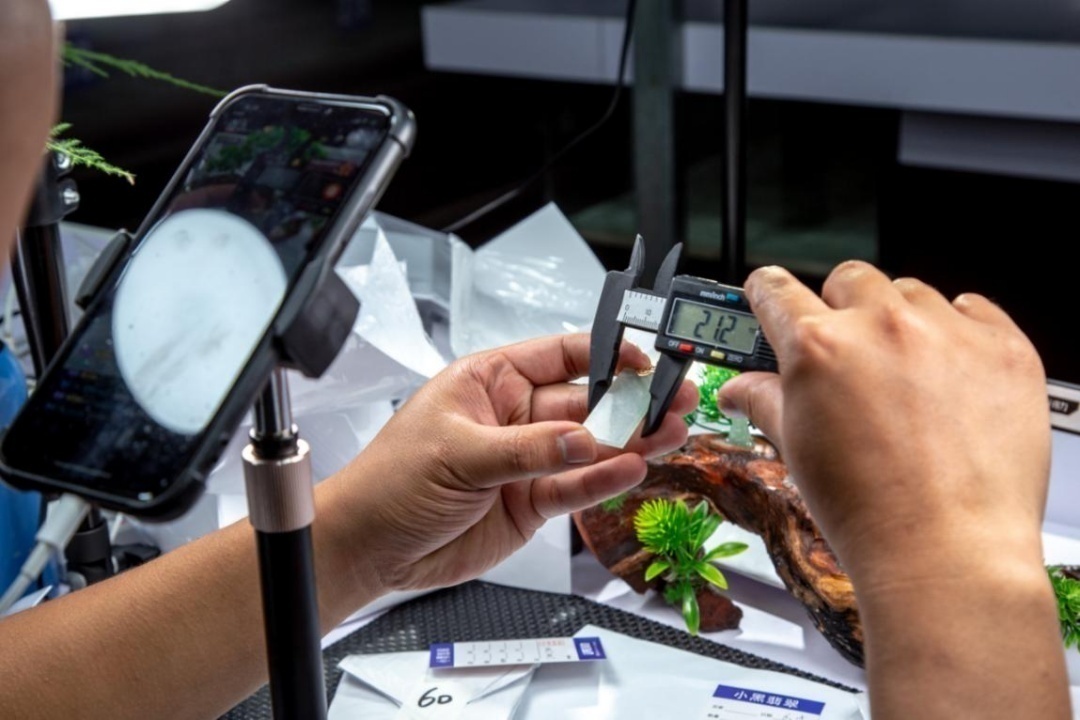 1694675020869848.png image.png