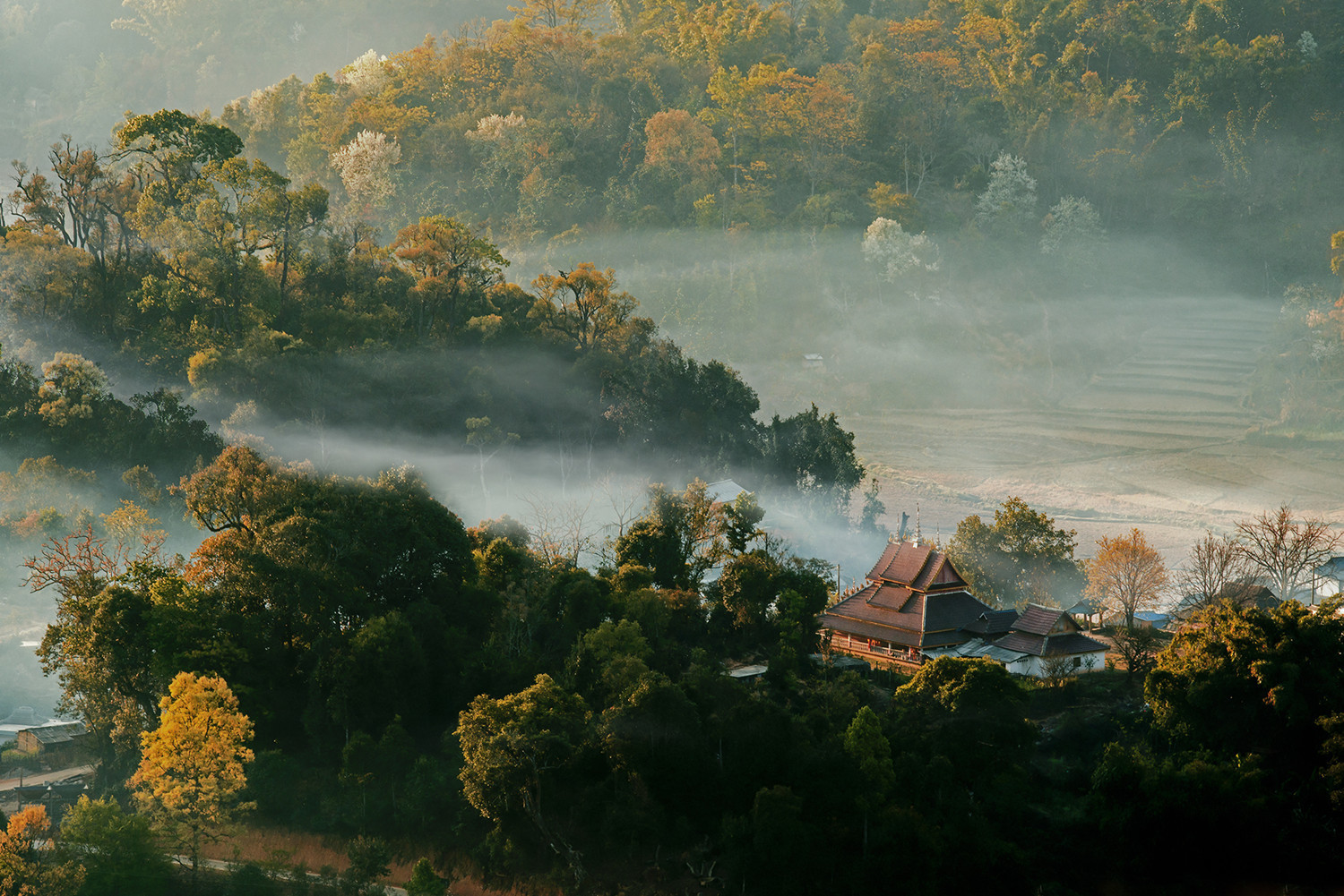 1694922090282695.jpg 摄影:刀正宇.jpg