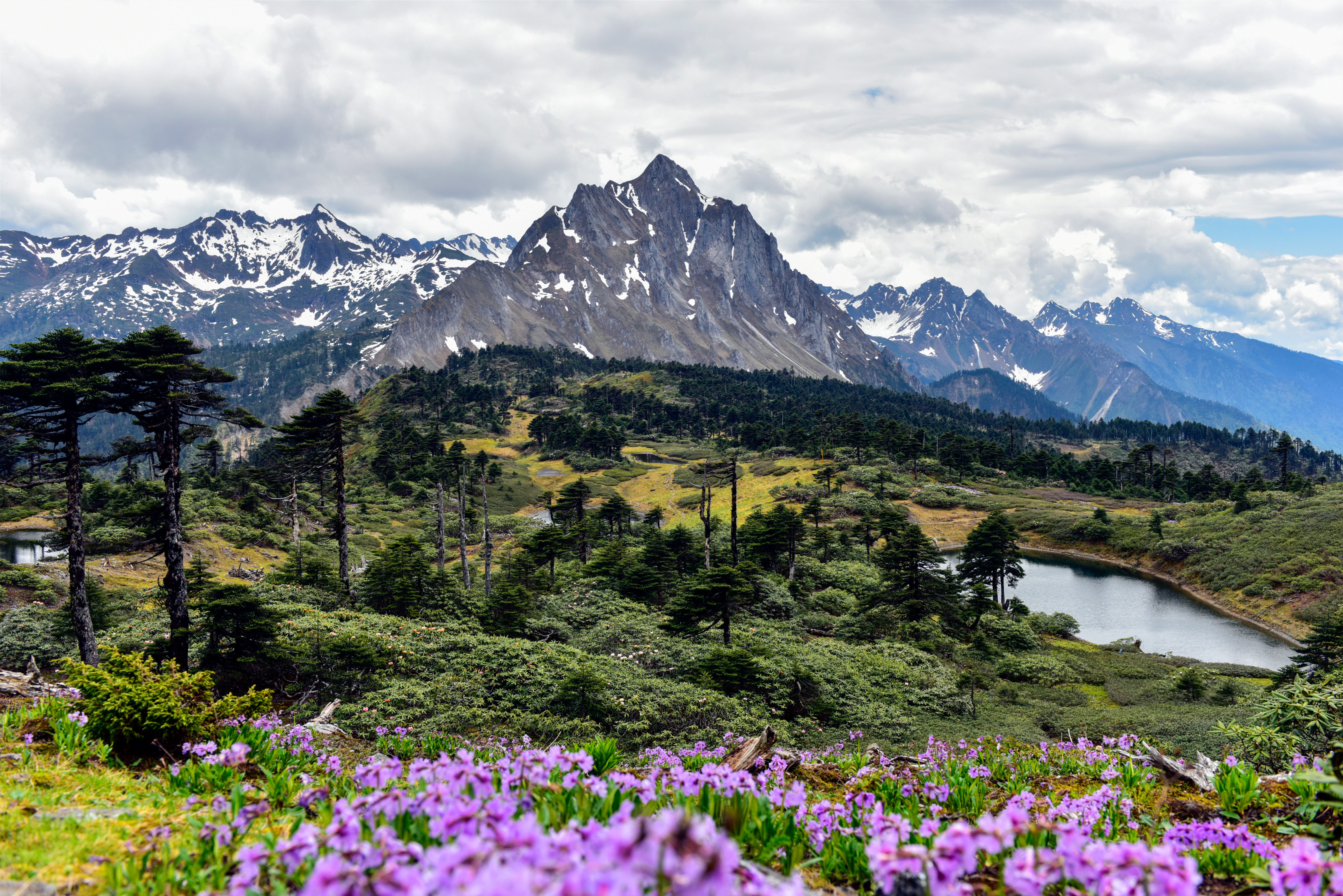 1695206932862771.jpg?x-oss-process=style/w10 美丽孔雀山 张军.jpg?x-oss-process=style/w10