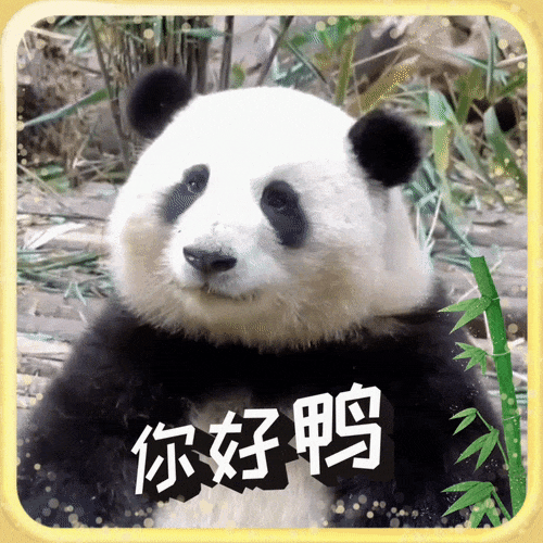 1695344358851442.gif 640.gif