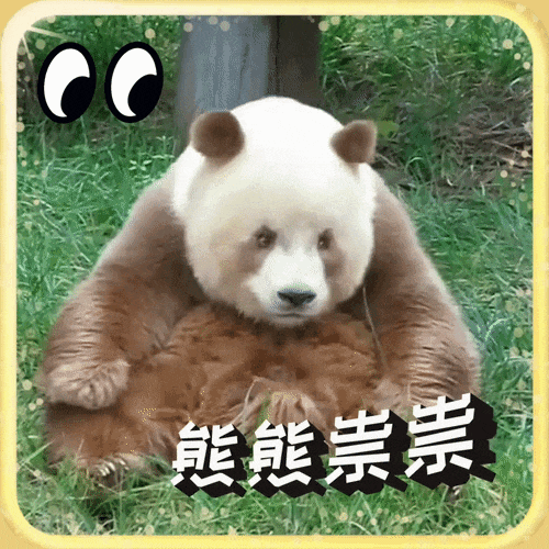 1695344427885253.gif 640 (2).gif