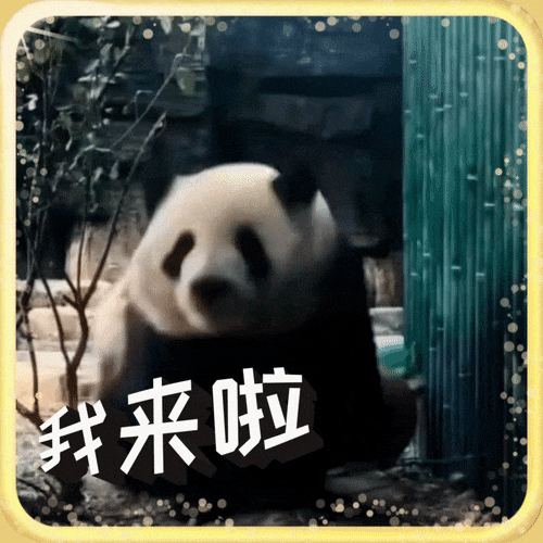 1695344493354816.gif 640 (4).gif