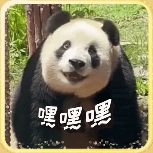 韩剧顶楼的熊猫表情图图片