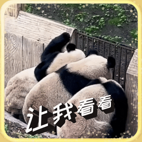 1695344575842788.gif 640 (7).gif