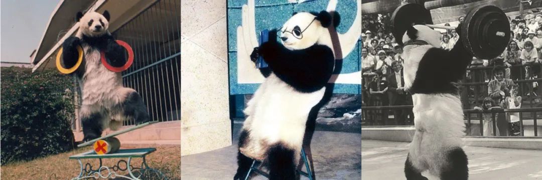 1695344646704471.jpeg 640.jpeg