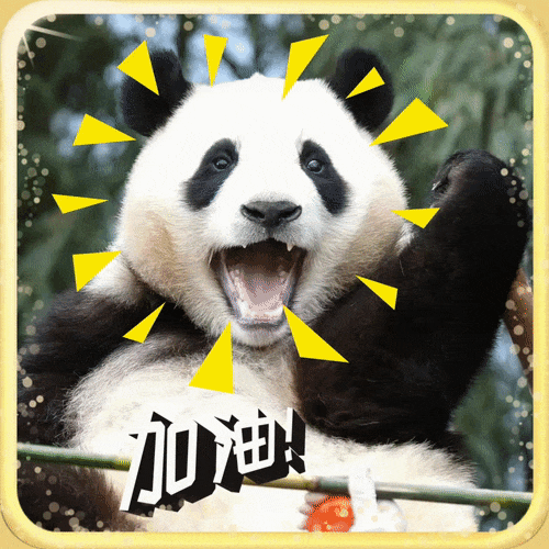 1695344818414694.gif 640 (1).gif