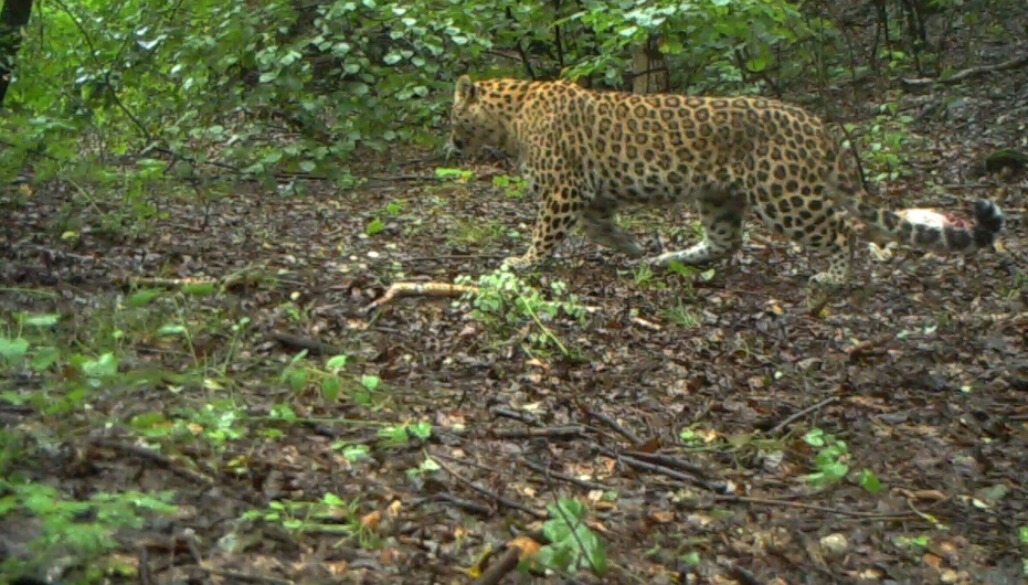 1695446249789941.png 1695446240785.png