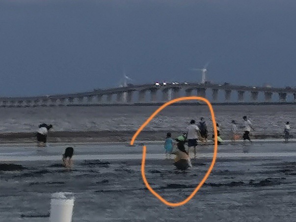 上海4岁女童走失背后，“野海滩”的另一面