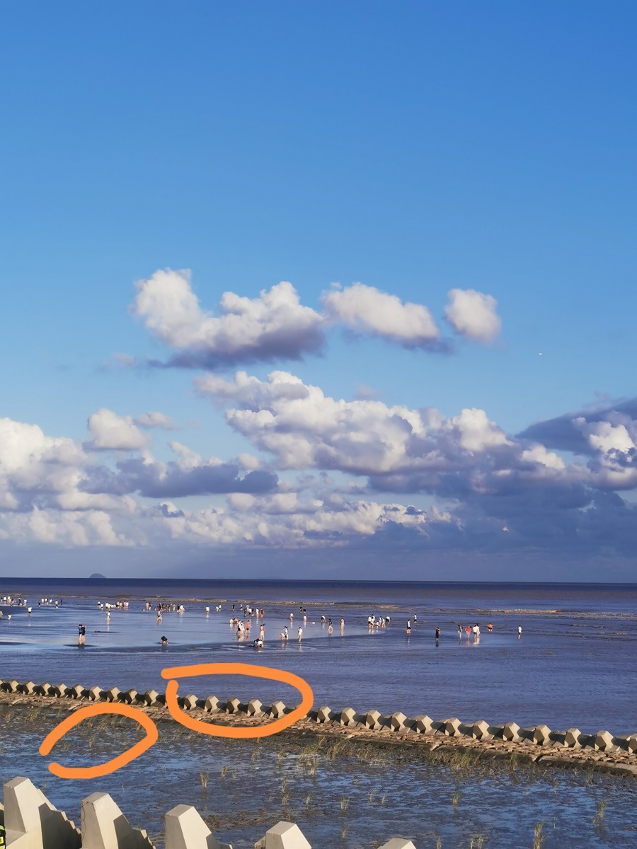 上海4岁女童走失背后，“野海滩”的另一面