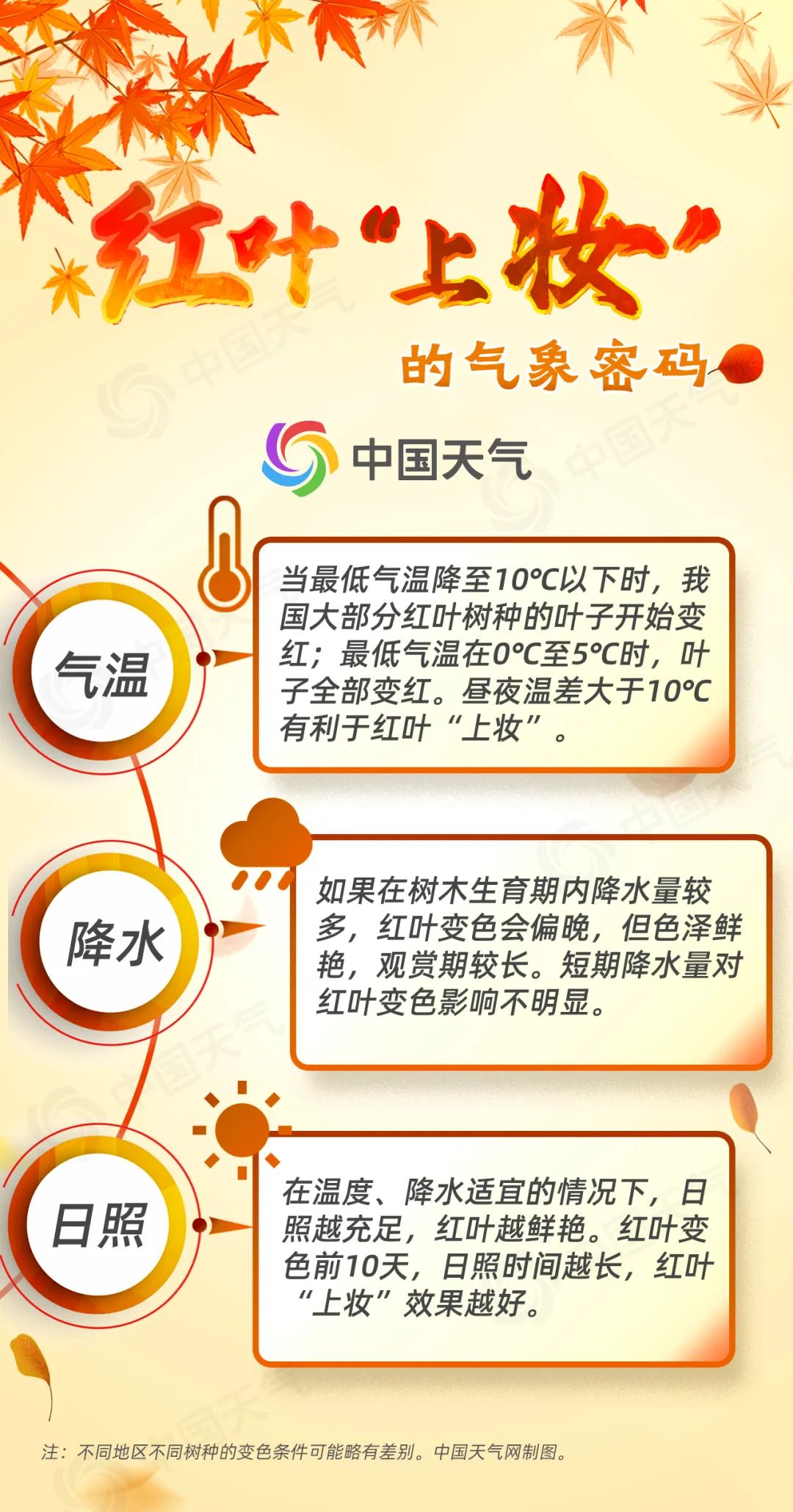 1697191380596856.jpeg 2.jpeg