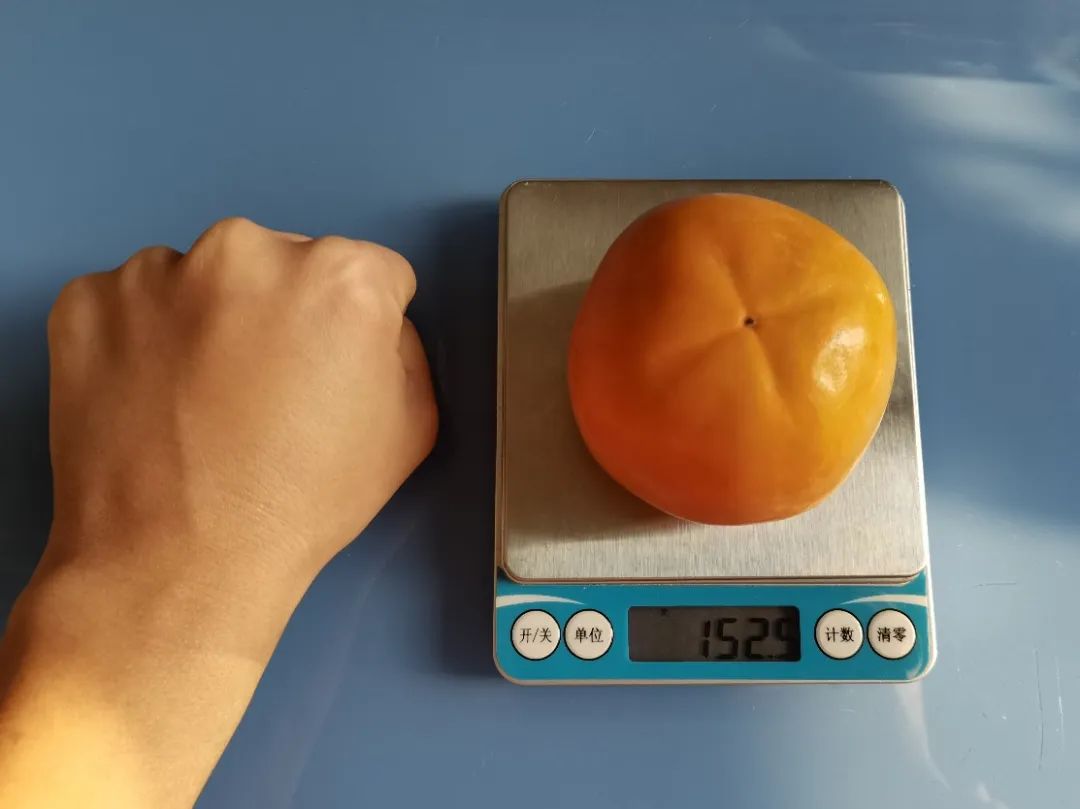 1697853403298185.jpg 640 (1).jpg