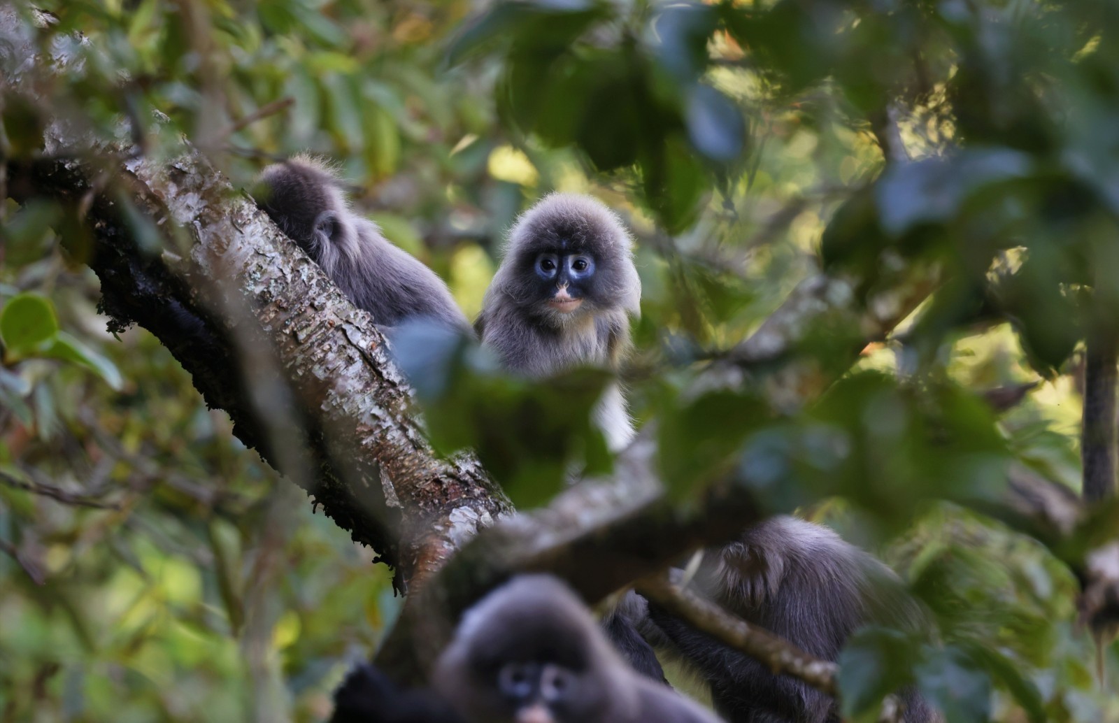 1698232298788332.jpg 微信图片_20231025191013.jpg