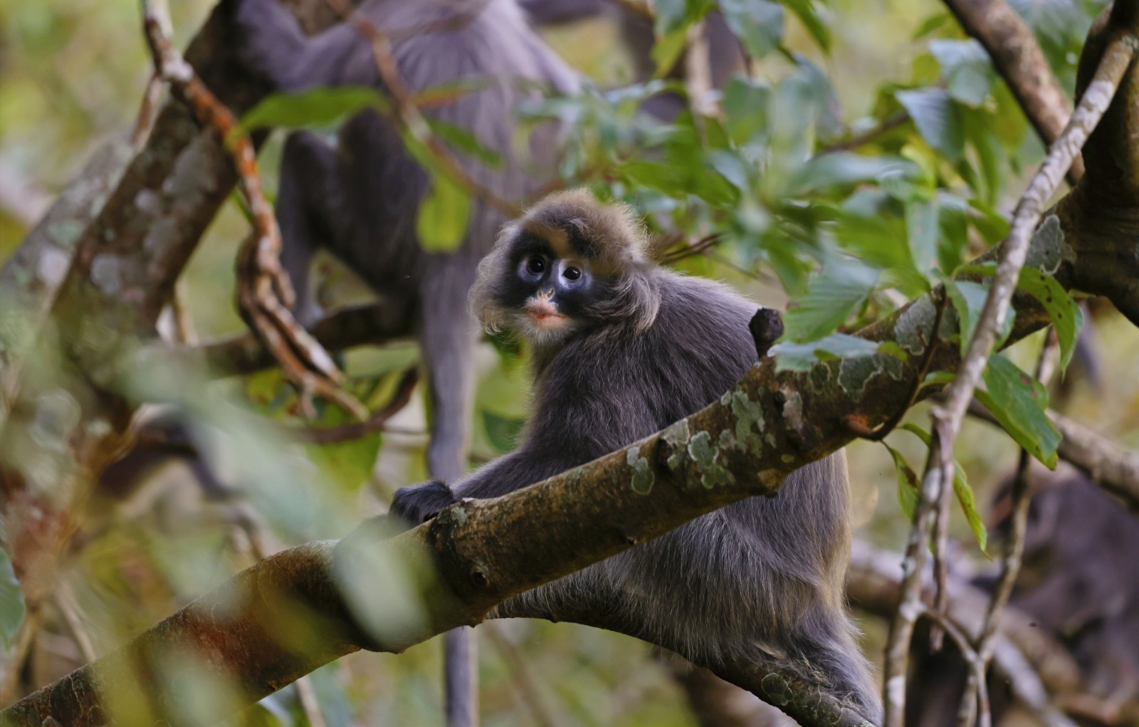 1698232312569069.jpg 微信图片_20231025191021.jpg