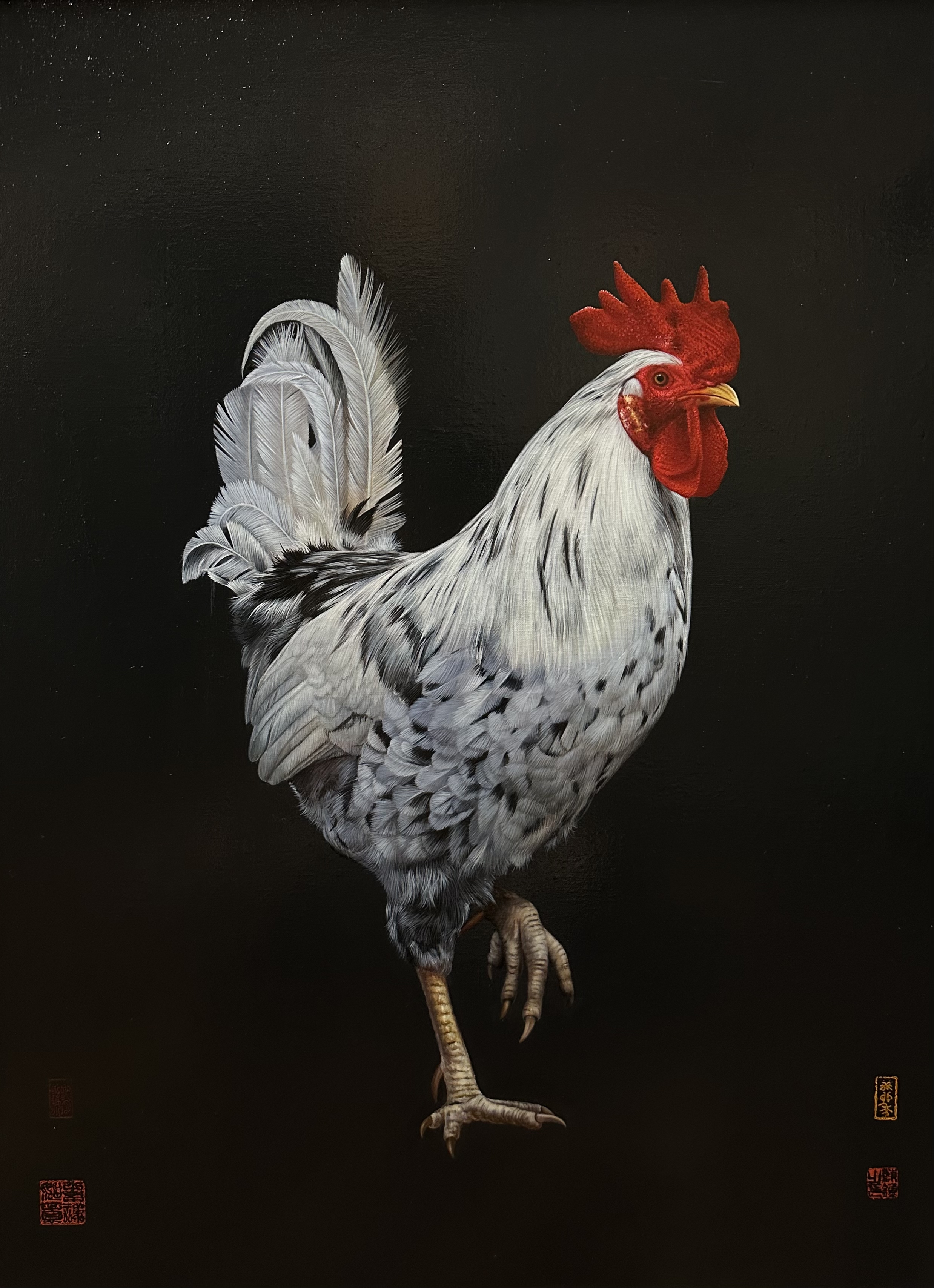 1699276399981081.jpg 9ca7c7ffa8cb901268825244ce7d69a.jpg