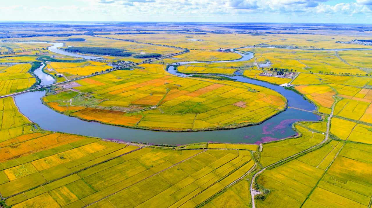 1699195651722813.gif image.gif