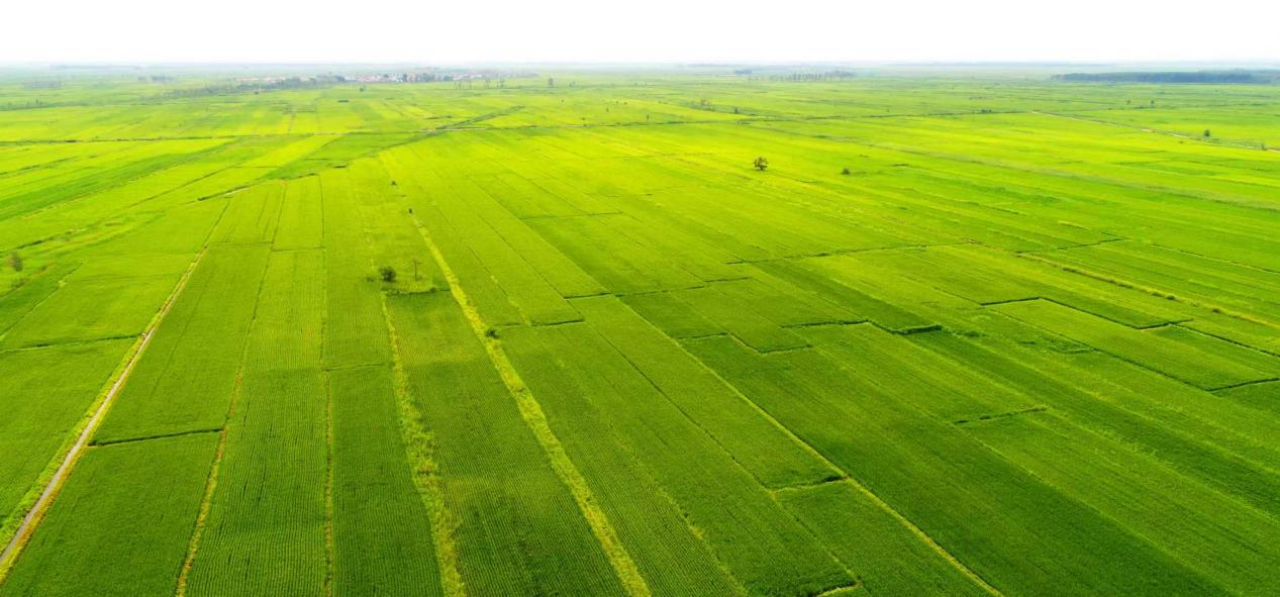 1699195671442064.gif image.gif