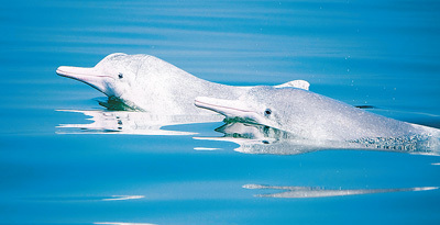 1699230448257429.jpg 1.jpg