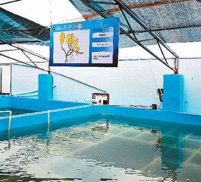 1699230458215294.jpg 2.jpg