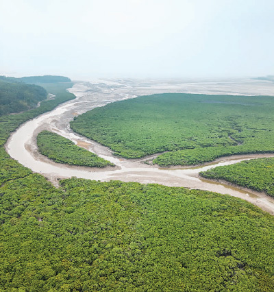 1699230475204349.jpg 4.jpg