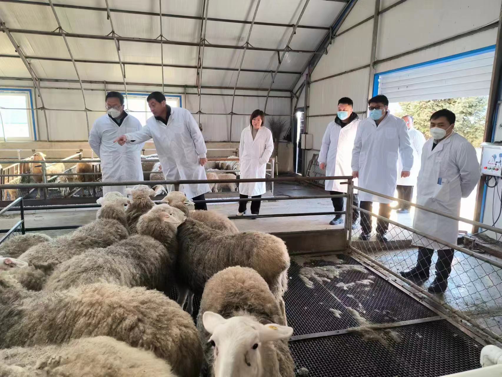 1699582780782769.jpg 1.jpg