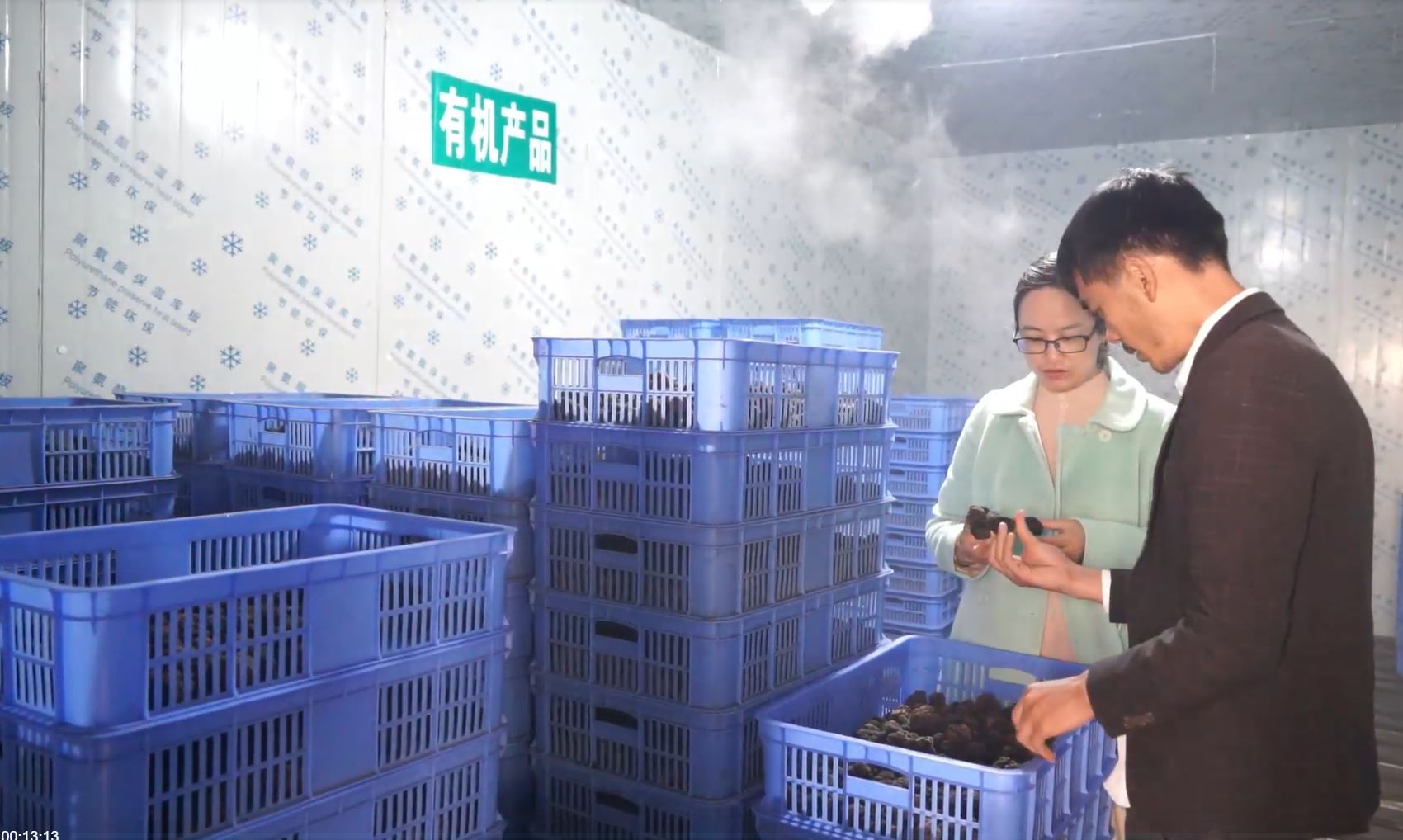 1699756946528855.jpg 松露7.JPG