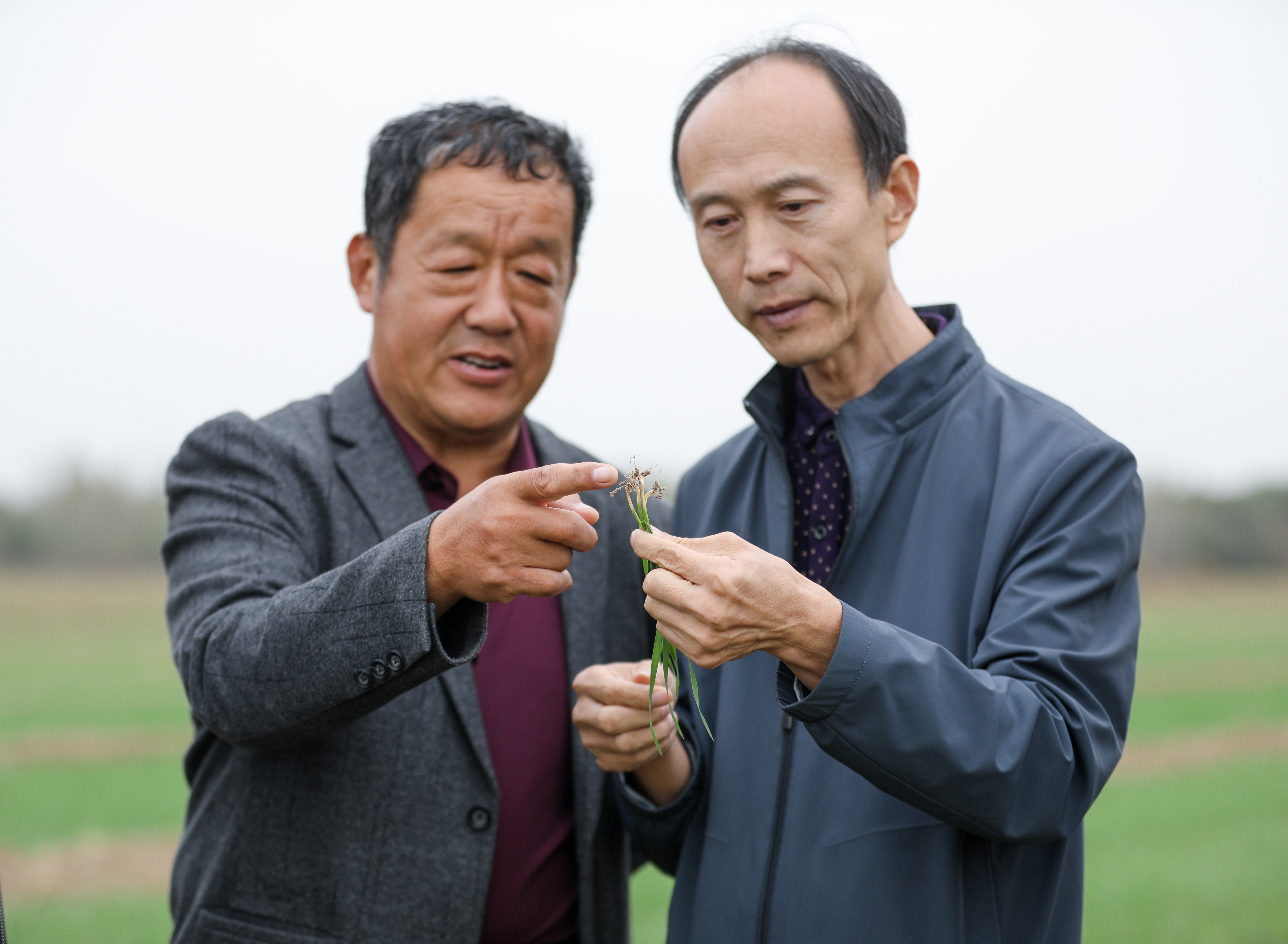 枣强：“1+5”发展模式4.jpg