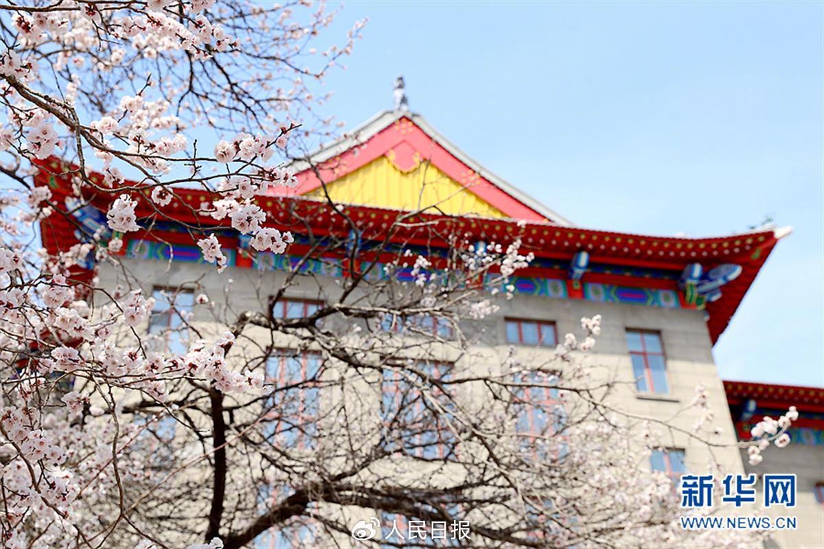 1700573572542462.jpeg 多地1.jpeg