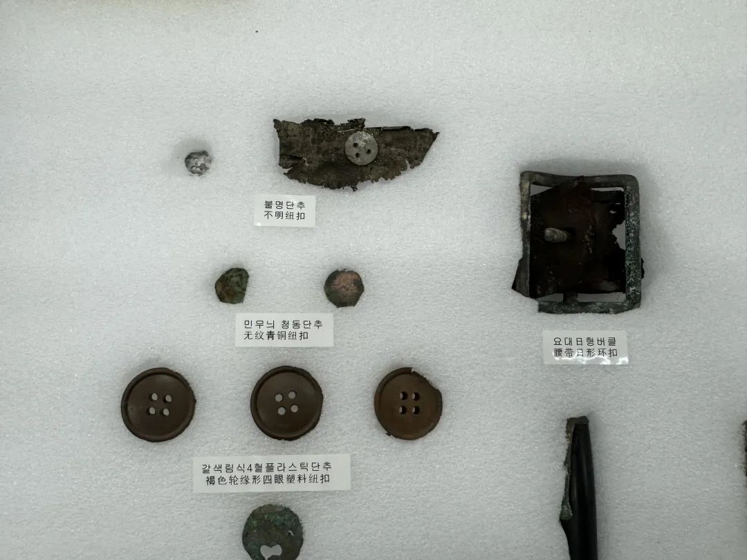 1700620257452196.jpg 640_wx_fmt=jpeg&from=appmsg&wxfrom=5&wx_lazy=1&wx_co=1 (5).jpg